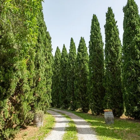 La Pieve - Tulipani Farm stay *
