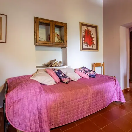 Farm stay La Pieve - Tulipani Pereta