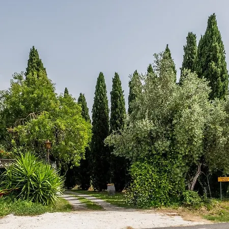 La Pieve - Tulipani Pereta