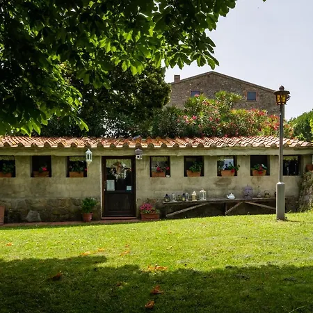 La Pieve - Tulipani * Pereta