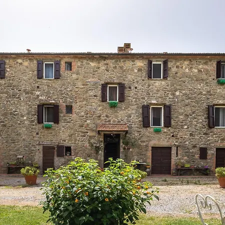 La Pieve - Tulipani *