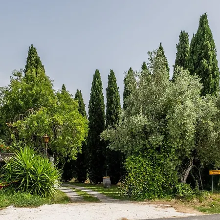 La Pieve - Tulipani
