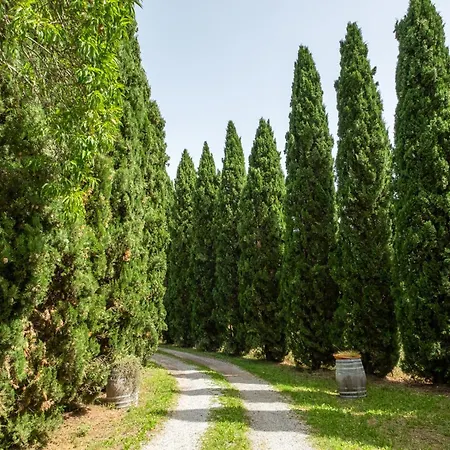 Alloggio per agriturismo La Pieve - Tulipani