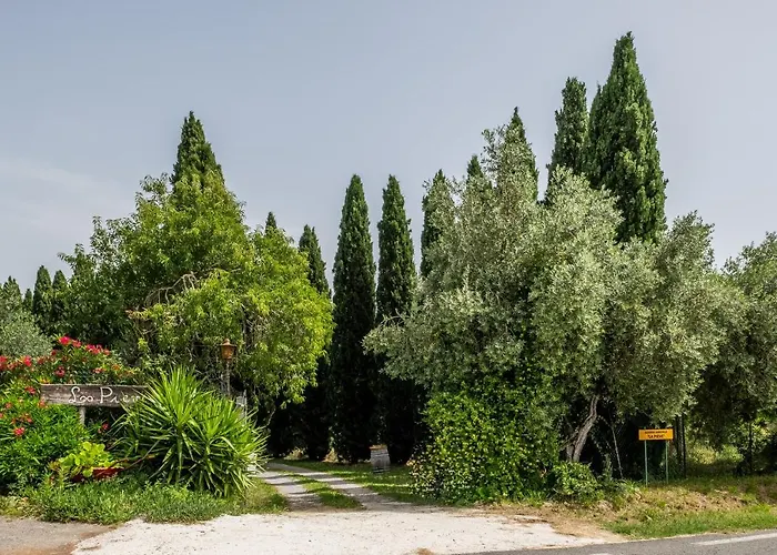 La Pieve - Tulipani Magliano in Toscana