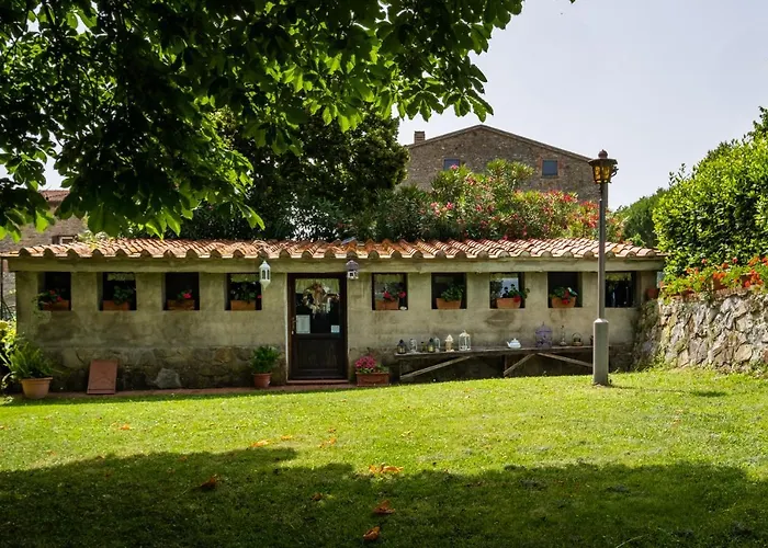 La Pieve - Tulipani * Magliano in Toscana
